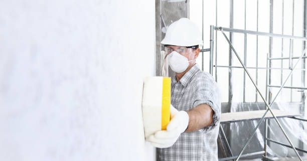 Best Mold Odor Removal Services  in Westlake, TX