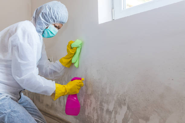 Best Asbestos and Lead Testing During Mold Inspection  in Westlake, TX