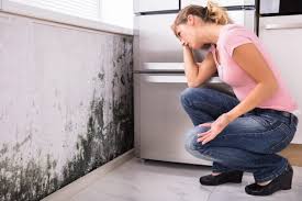 Best HVAC Mold Inspection and Cleaning  in Westlake, TX